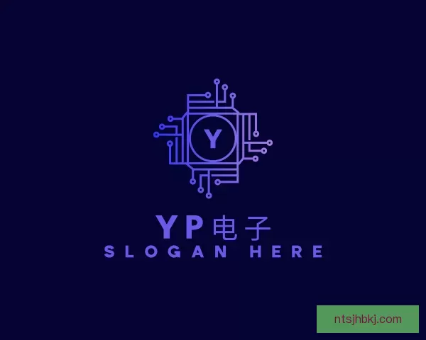 发现yp电子